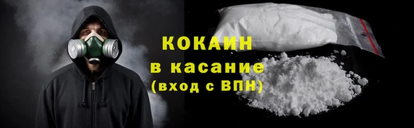сатива Вуктыл