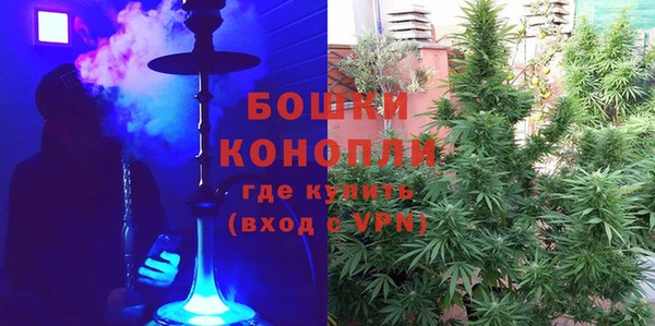 сатива Вуктыл