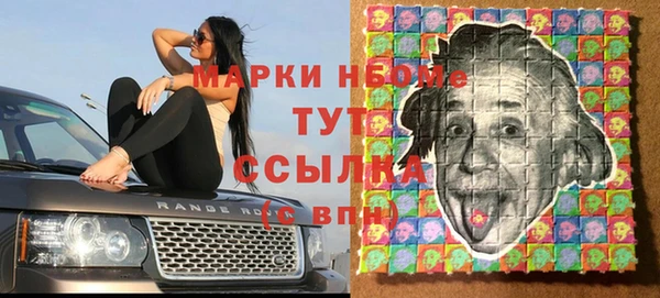 сатива Вуктыл