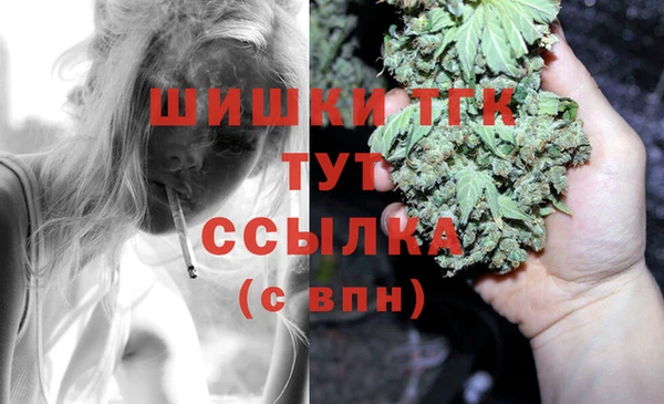 сатива Вуктыл