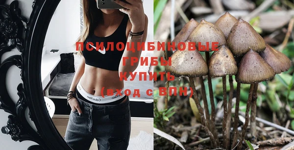 сатива Вуктыл