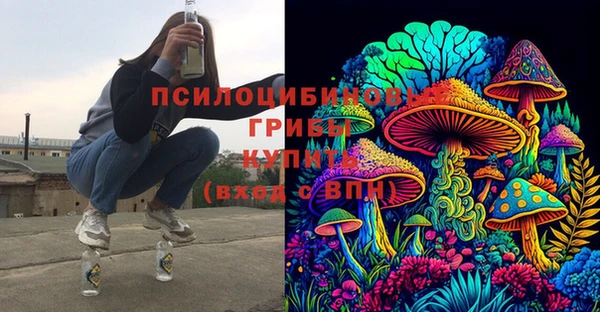 сатива Вуктыл